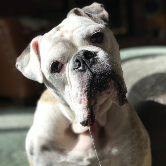 Meet your Posher, Eerin - Picture 1 of 1